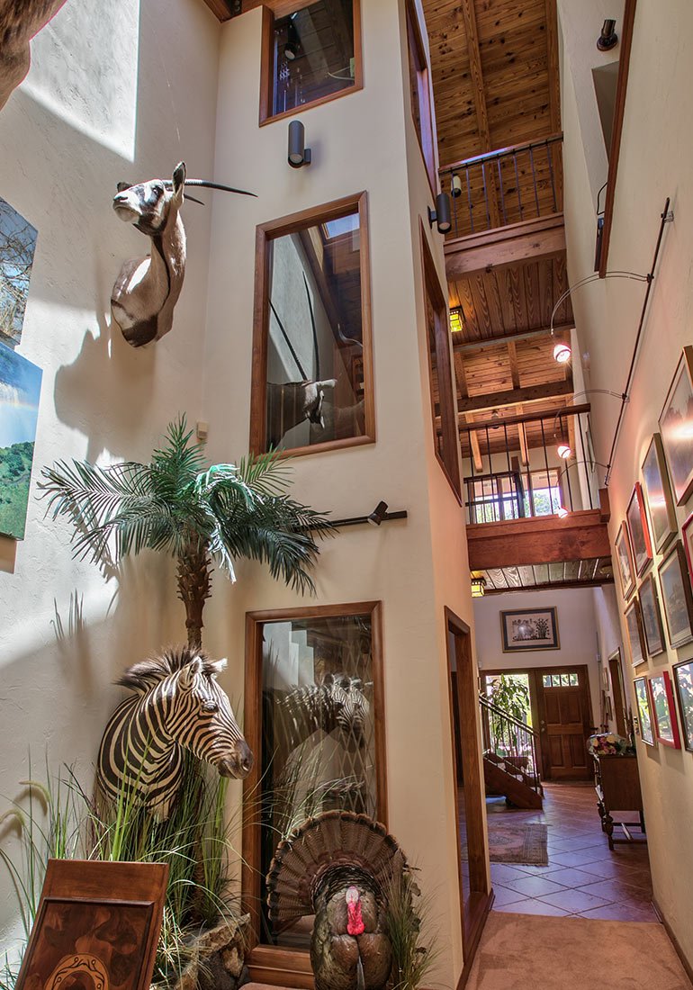 Tall hallway with mounted animal displays, wood ceilings, and large interior windows