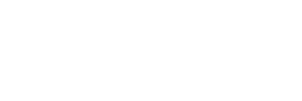 Residential Elevators